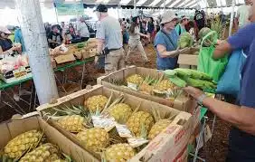 Hawaii Faces Economic Crisis: Rising Costs, Low Wages, and Declining Population